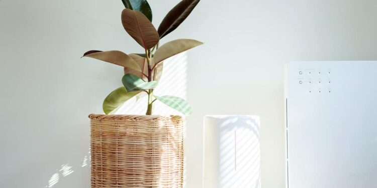 Air Purifier Technology