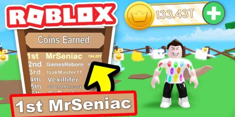 The Richest Player in Roblox