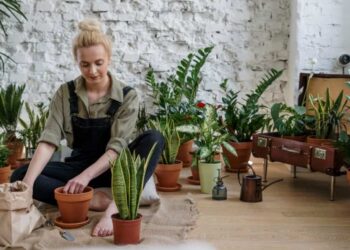 Attractive Garden at Home