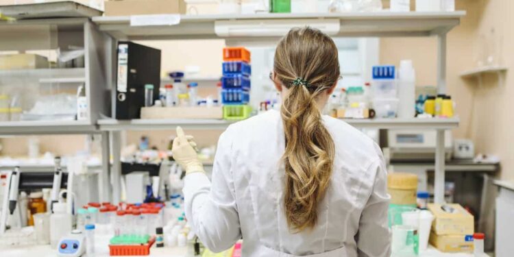 Bachelor's Degree in Pharmacy?