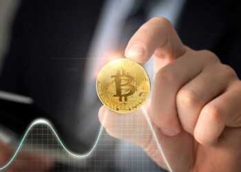 Dissecting the Impact of Bitcoin on Other Cryptocurrencies: The BTC Influence